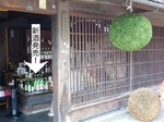 IMGP0348.jpg